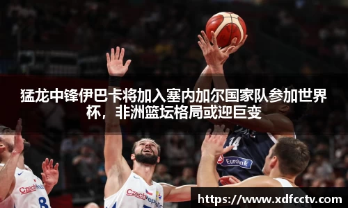 中欧体育官网