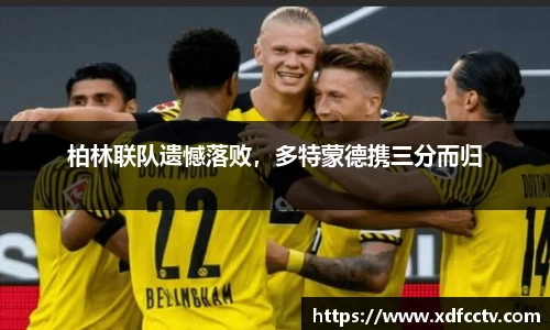 中欧体育网址