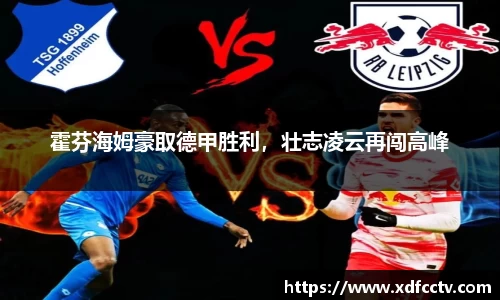 中欧体育官网