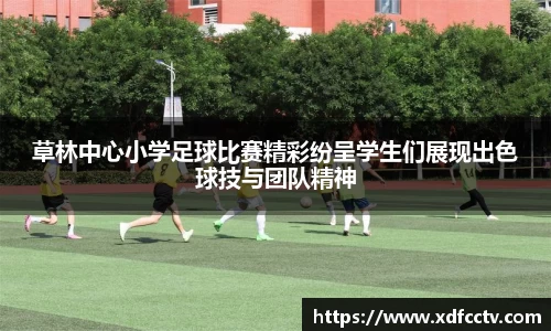 中欧体育网址