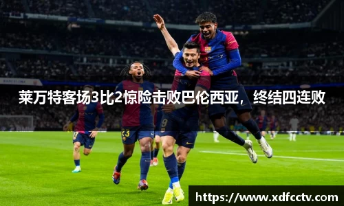 中欧体育网址