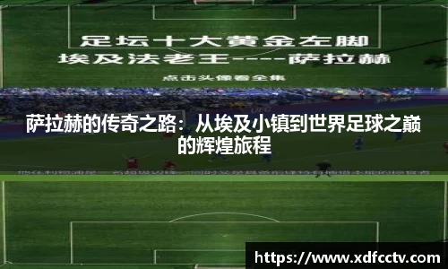 中欧体育