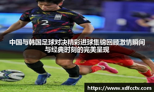 zoty中欧体育