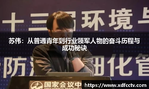 苏伟：从普通青年到行业领军人物的奋斗历程与成功秘诀