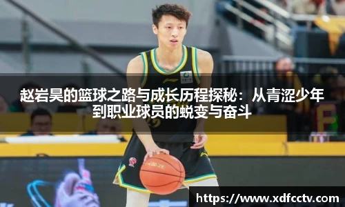 中欧体育官网