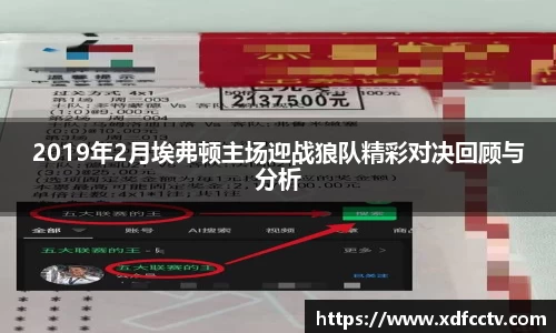 2019年2月埃弗顿主场迎战狼队精彩对决回顾与分析